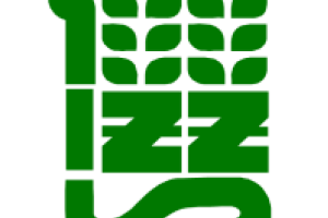 IŻiŻ
