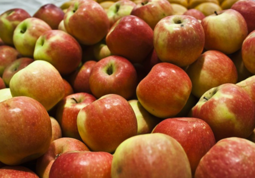 jablko piorin eksport (1)